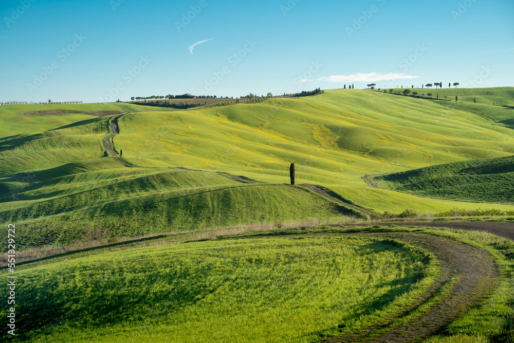 View of the Tuscan hills. Val d'Orcia at dawn sunset. Italian holidays. Ring cypress trees. Florence. Colorful fields near Asciano. Siena Province