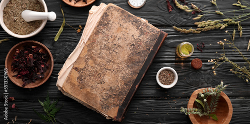 Obraz na plátne Old book and ingredients for preparing potions on dark alchemist's table