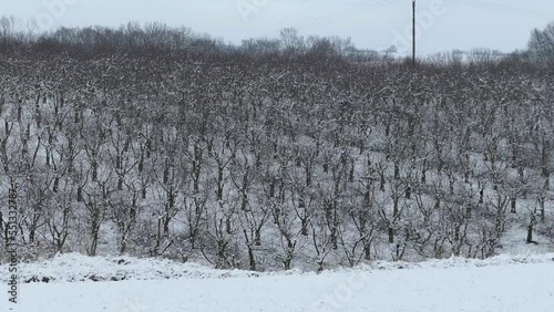 Kirchplantage im Winter