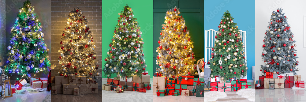 Collage of beautiful Christmas trees with gifts in interiors of living rooms