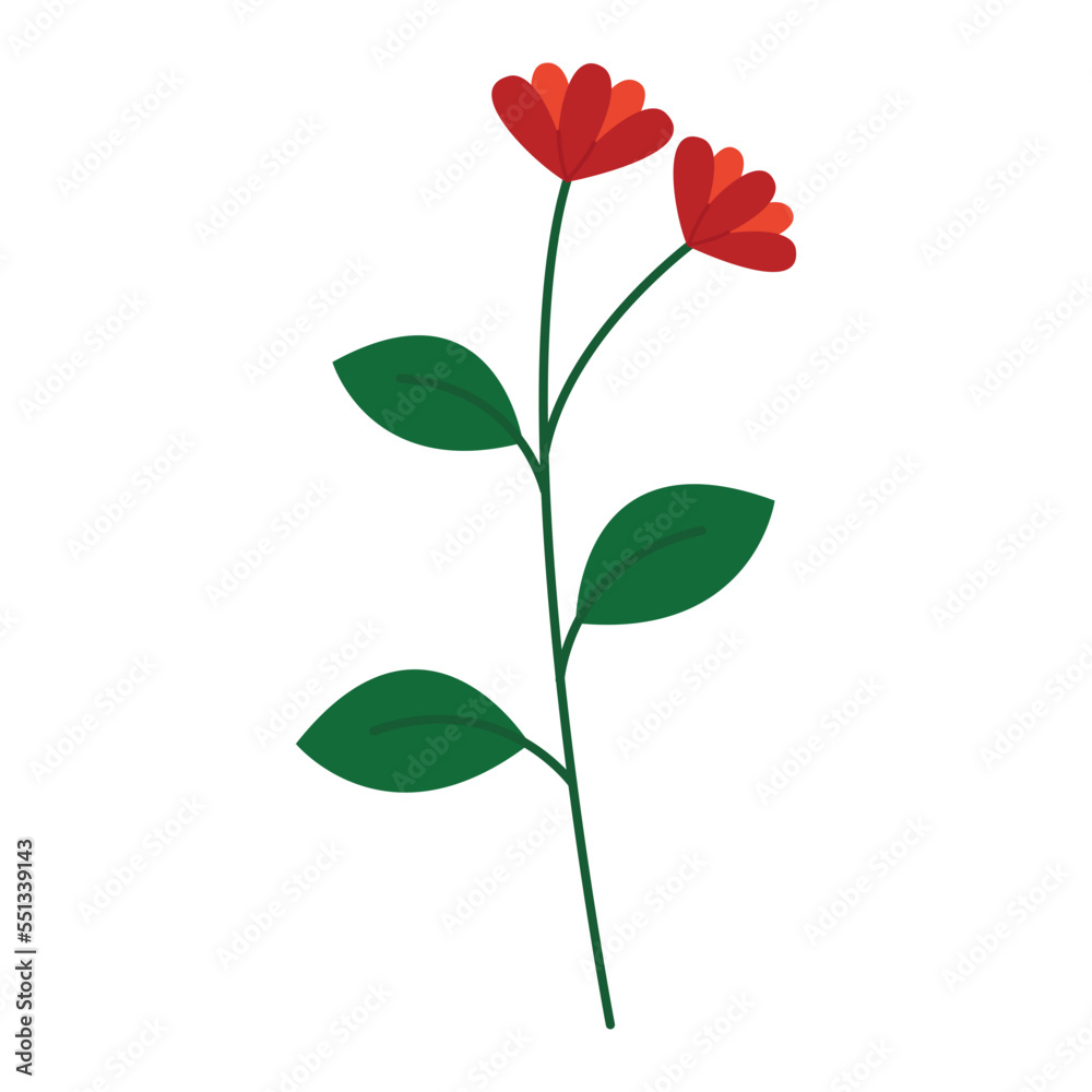 Winter Flower Illustration Winter Flower Illustration