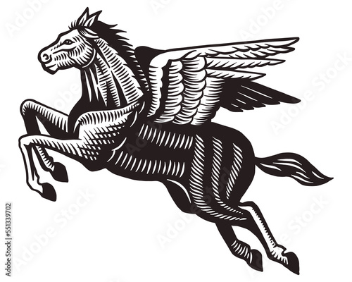 Mythological horse - flying pegasus with wings