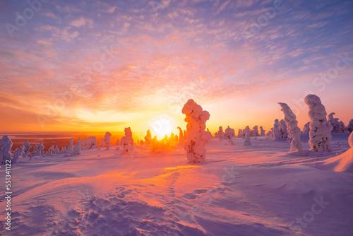 winter landscape at sunset in Finnish Lapland