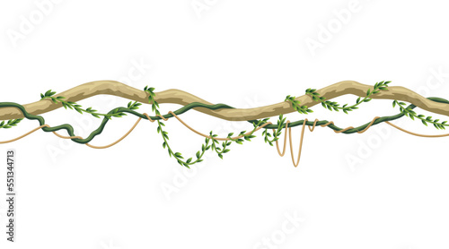 Lianas stem border. Rainforest green vine or twisted plant hanging on branch. Cartoon jungle creeper, leaves or moss on tree. Vector isolated game scenery element. Tropical nature plant