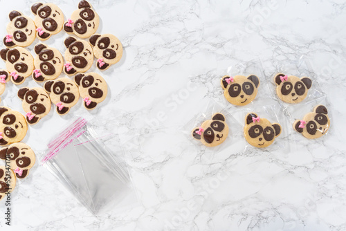 Fototapeta Naklejka Na Ścianę i Meble -  Panda shaped shortbread cookies with chocolate icing