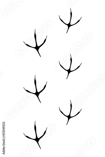 Animals feet track. Pheasant black paw, walking feet silhouette or footprints. Trace step imprints isolated on white. Walking tracks paws illustration