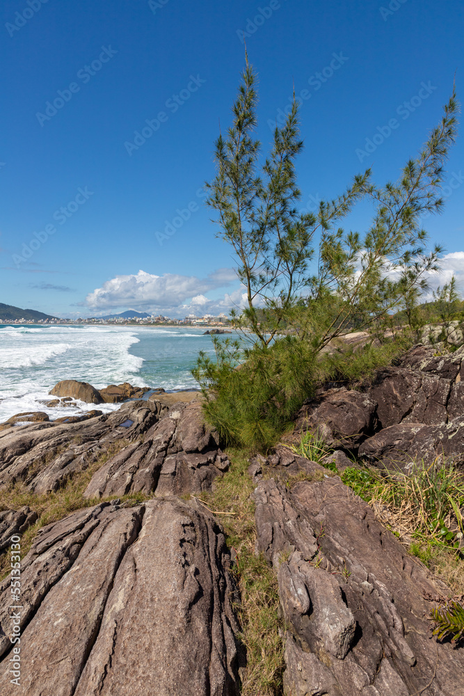 Vegetation, rocks and waves in Atalaia beach Vegetation, rocks and waves in Atalaia beach