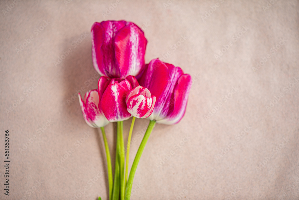  pink tulip flowers in vase