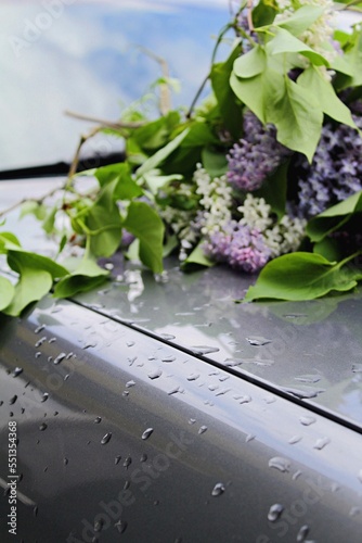 Drops of water on the hood of the car nearby lies lilacs