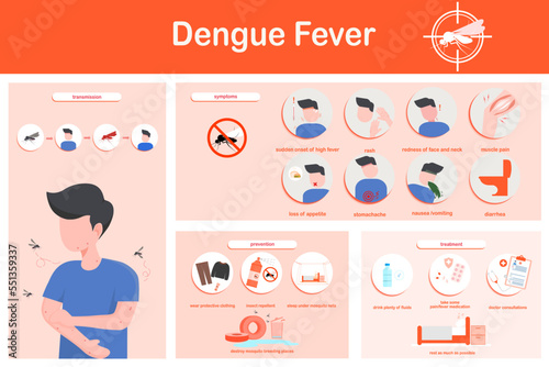 Vector illustration infographics dengue fever symptoms, transmission, prevention and treatment, flat design
