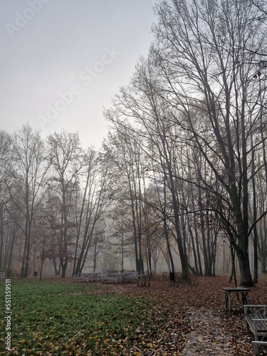 The rising sun in a foggy autumn morning in the Julianowski Park, Lodz, Poland.