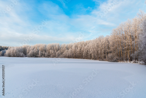 panorama of a frozen lake on the background of a lem in the snow. sunny winter day