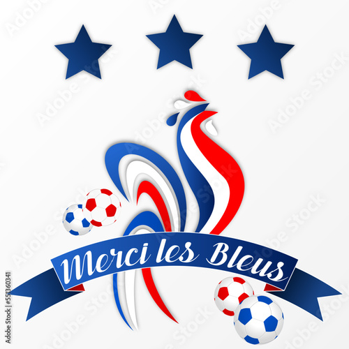 merci les bleus - deux étoiles bleues et coq tricolcore