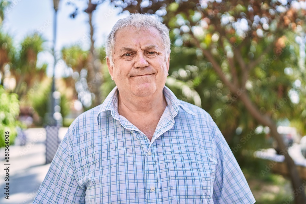 Middle age grey-haired man smiling confident walking at park Middle age grey-haired man smiling confident walking at park