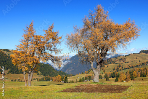 Iconic view of Seiser Alm (Alpe di Siusi) with Sassolungo and Sassopiatto mountains, South Tyrol, Italy, Europe