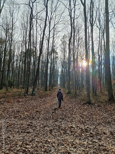 A walk in the Lagiewnicki Forest into a sunny and cold November morning, Lodz, Poland