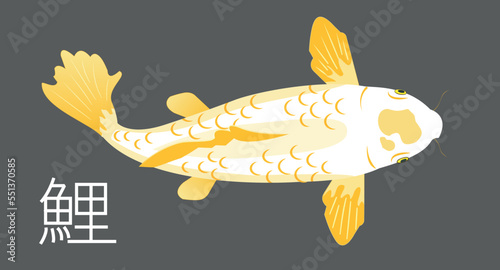 The Japanese carp is a symbol of friendship and love. No wonder even the very word koi is consonant with the Japanese word meaning love, affection.