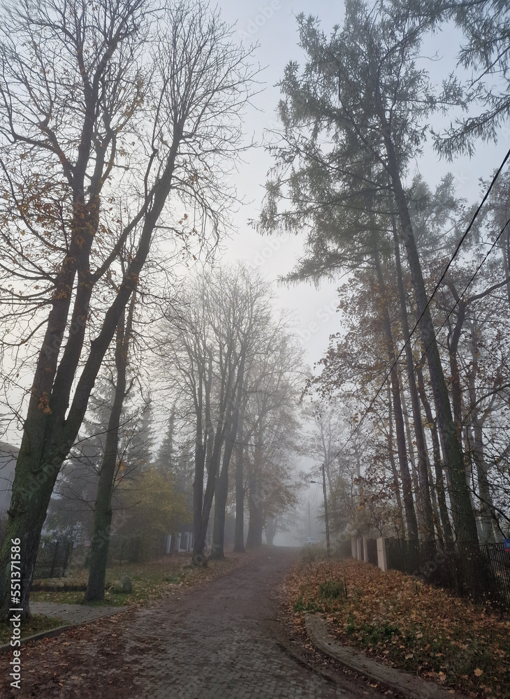 Fototapeta premium Road in the Julian District, on a cold and foggy November morning, Łódź, Poland.