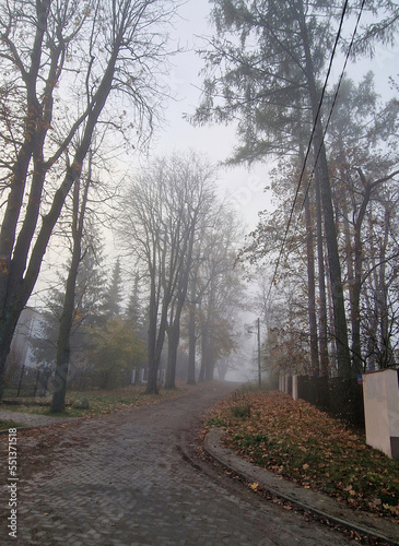 Road in the Julian District, on a cold and foggy November morning, Łódź, Poland.