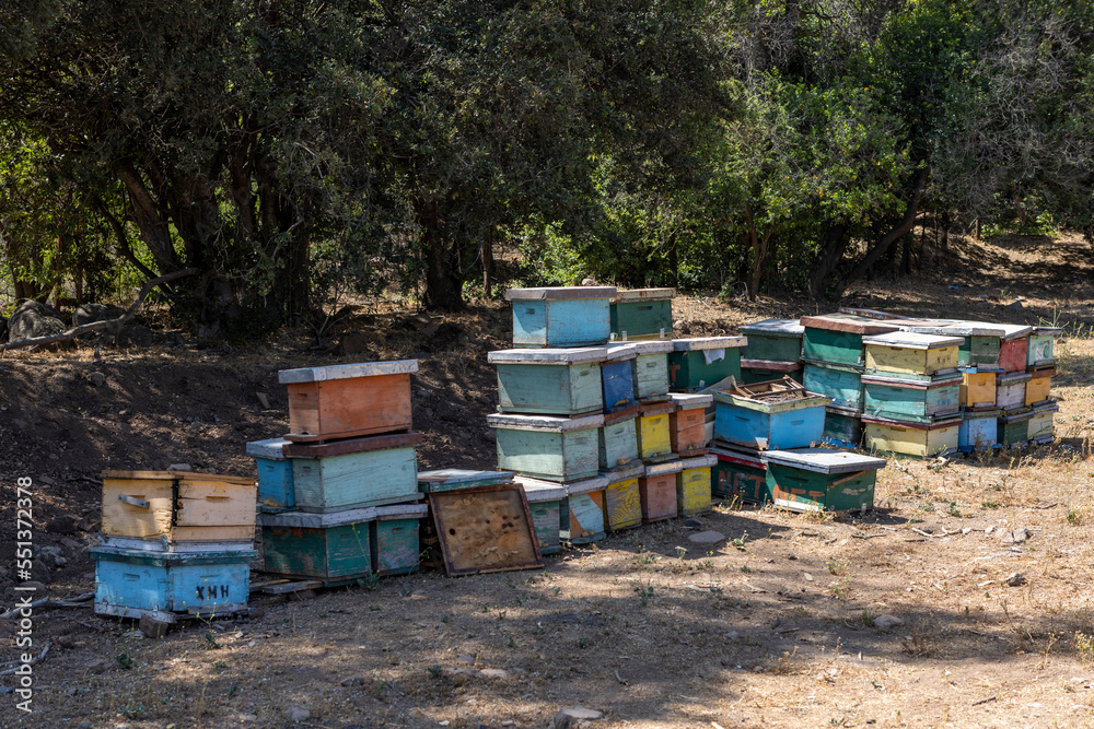 Honey production at the Rio Claro in Chile Honey production at the Rio Claro in Chile