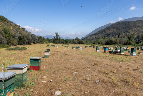 Honey production at the Rio Claro in Chile