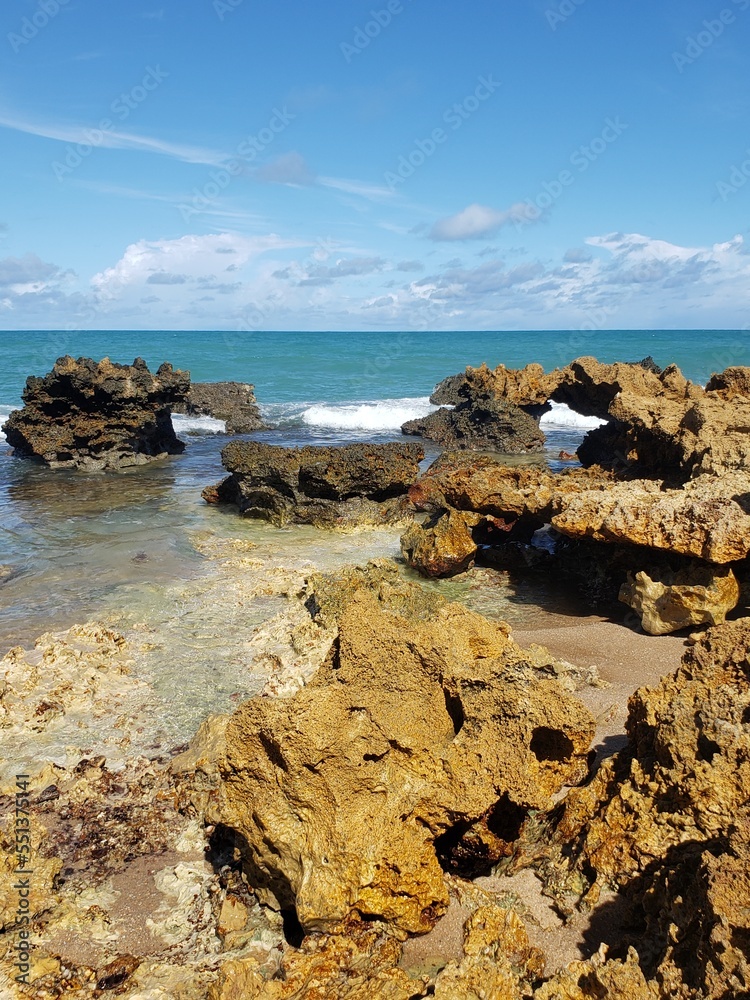  View of a northeastern Brazilian beach, the sea and nature around.