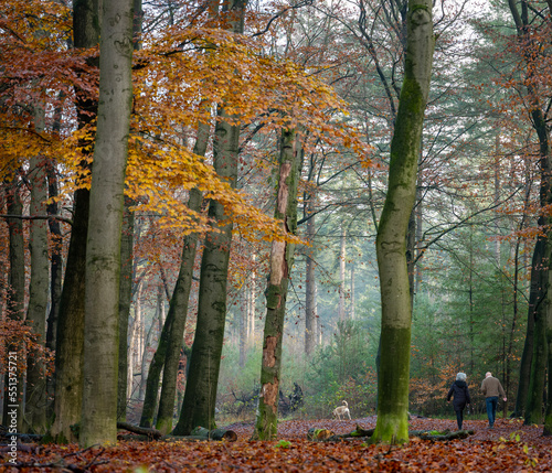 couple and dog in autumn forest near utrecht in holland