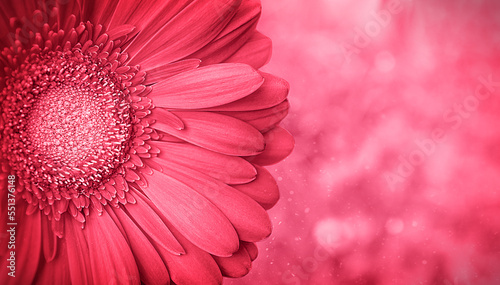 Viva Magenta flower on a trend color  background 2023