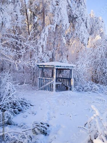 Snow-covered winter forest on a sunny day