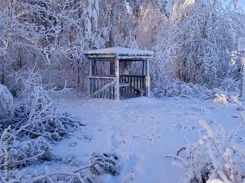 Snow-covered winter forest on a sunny day