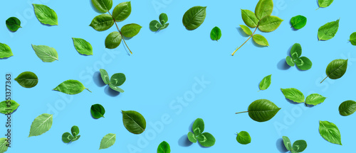 Green leaf frame design background - flat lay