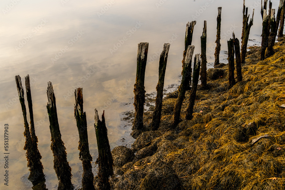 Rotting wooden piers in the river at sunrise