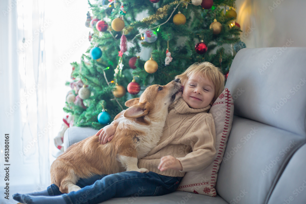 Cute toddler child. boy, hugginh baby puppy corgi dog at home on Christmas Cute toddler child. boy, hugginh baby puppy corgi dog at home on Christmas