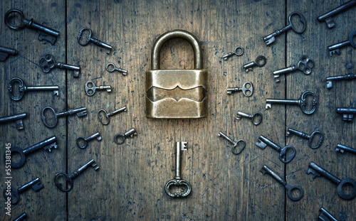 Antique door lock and old keys on a tree. Find your matching key to the lock. Concept and idea on the topic of security, history, protection, guard, secret, preservation, etc. Retro style.