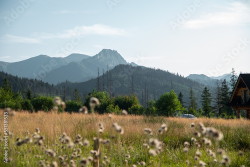 View of the mountains and mountain landscape. The concept of a beautiful mountain landscape  tourism.