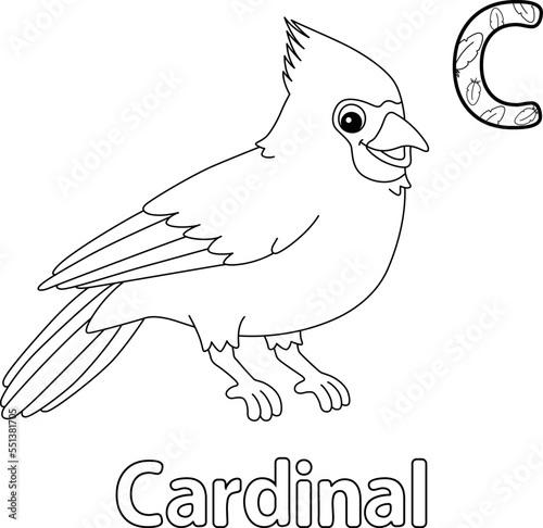 Cardinal Animal Alphabet ABC Isolated Coloring C