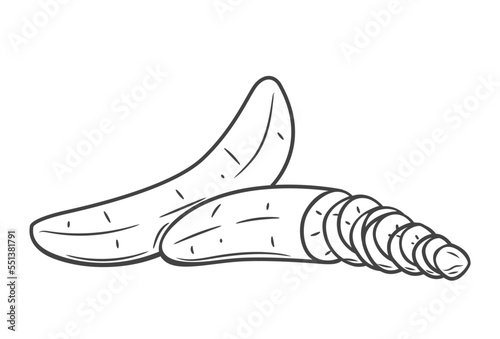 Peeled banana set line icon vector illustration. Hand drawn outline whole open organic banana without peel and ripe tropical fruit cut into round vitamin slices for bite of sweet vegetarian dessert