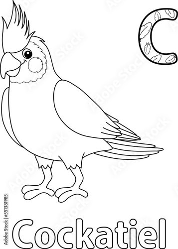 Cockatiel Animal Alphabet ABC Isolated Coloring C