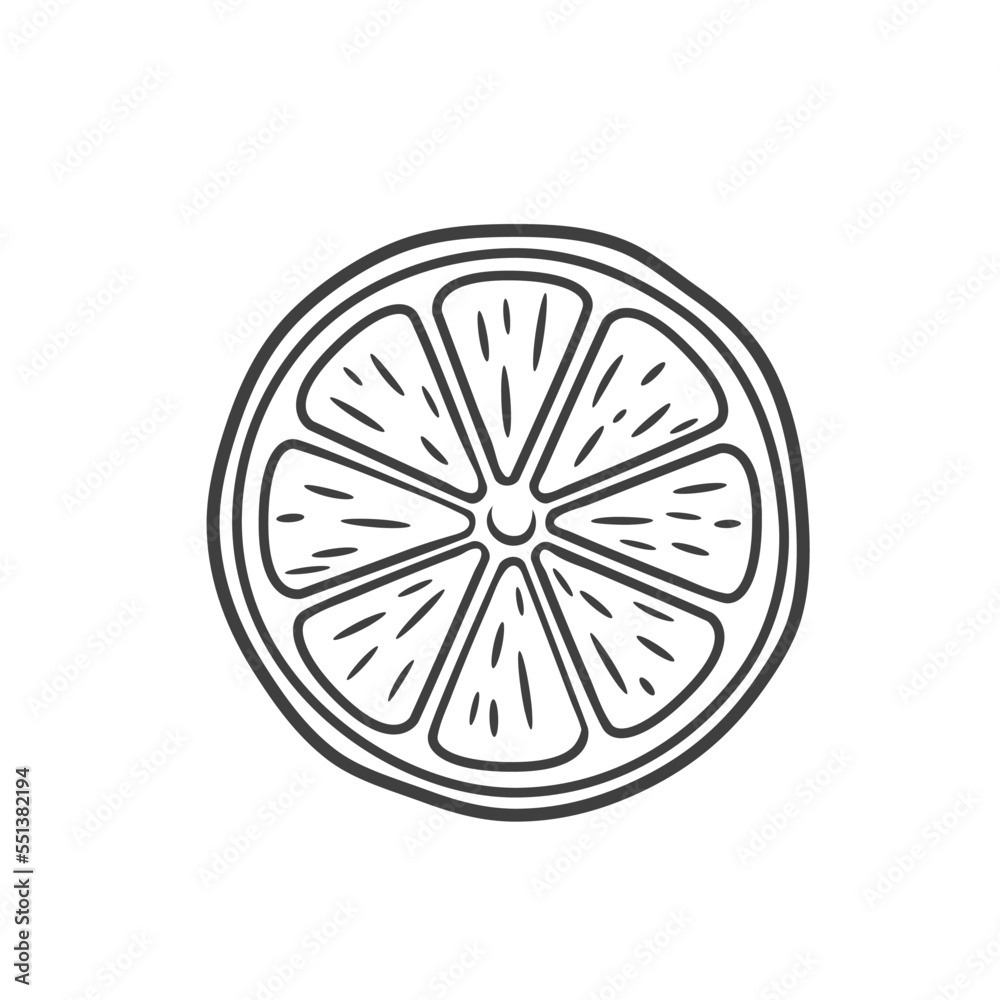 Lemon round slice line icon vector illustration. Hand drawn outline one citrus piece of circle shape with segments inside, slice of fresh sour lemon fruit with vitamin C, symbol of tropical summer Lemon round slice line icon vector illustration. Hand drawn outline one citrus piece of circle shape with segments inside, slice of fresh sour lemon fruit with vitamin C, symbol of tropical summer