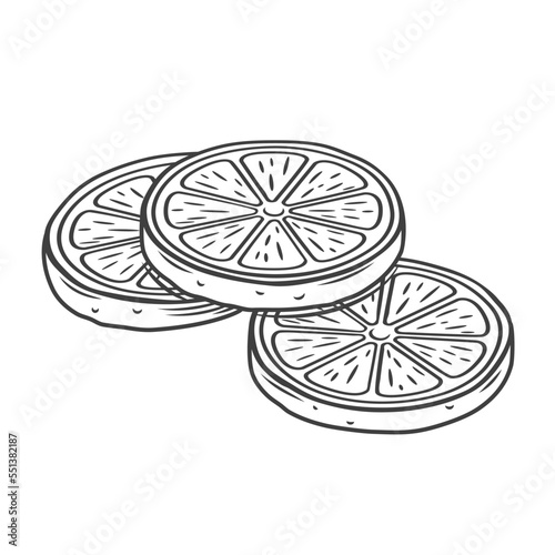 Lemon circle slices line icon vector illustration. Hand drawn outline citrus fruit pieces with cross pattern, fresh aroma pulp and peel, lobules for cooking lemonade or cocktail, delicious lemon drink