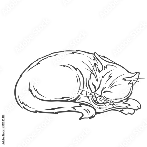 Cat sleeping line icon vector illustration. Hand drawn outline funny sleepy animal character lying to sleep and relax in nap time, cute adorable cat with fur, happy asleep face and claws on paws