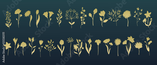 Gold flowers and plants, cutout glyph set vector illustration. Golden silhouettes of delicate wild blossom, buds and grass of summer or spring nature, gold botanical decorations in elegant collection