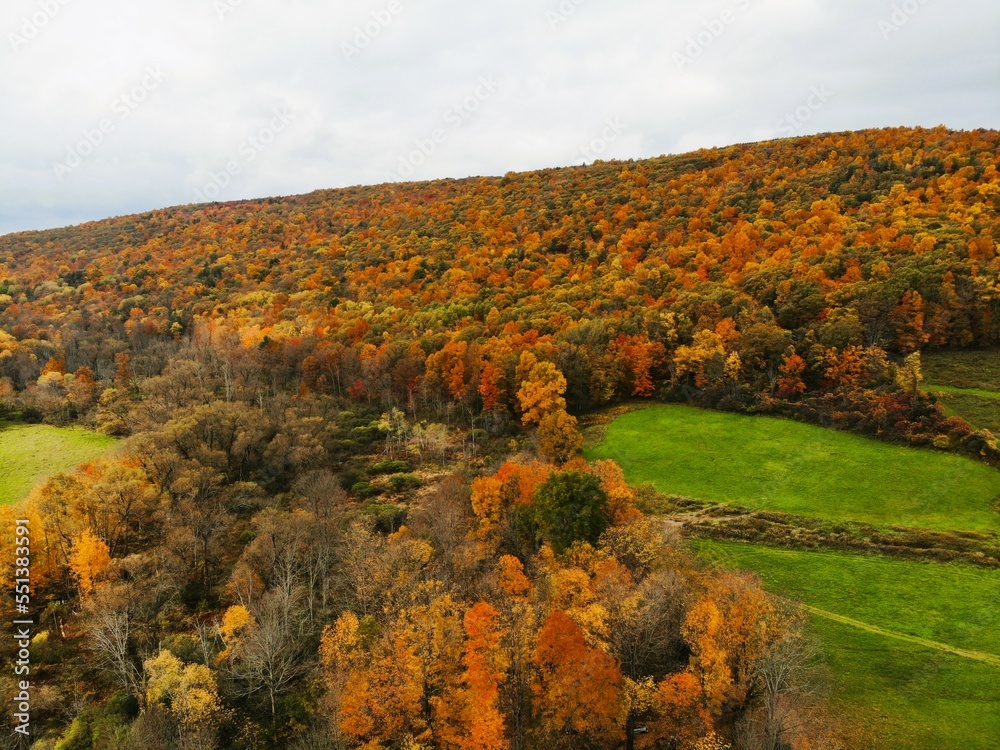 The aerial view of the beautiful fall foliage near Upstate New York, U.S.A The aerial view of the beautiful fall foliage near Upstate New York, U.S.A