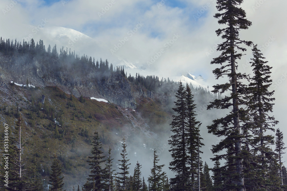Fog in the mountains Fog in the mountains