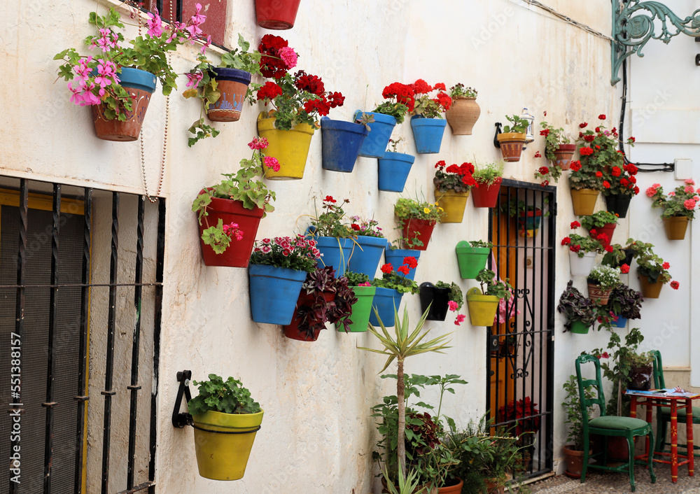 Walls decorated with colorful flowers in the clay pots