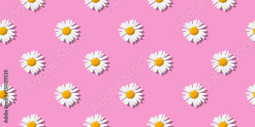 Daisy flowers - Seamless floral pattern