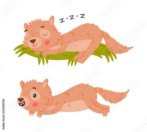 Cute Little Xerus Character with Pretty Snout Lying and Sleeping Vector Set