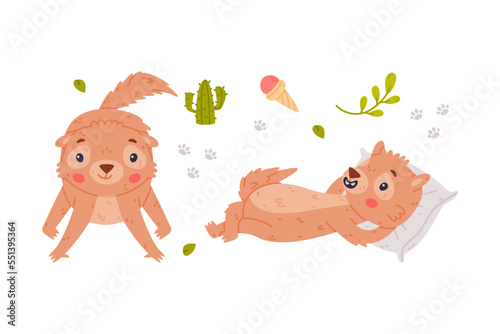 Cute Little Xerus Character with Pretty Snout Lying on Pillow and Standing Vector Set