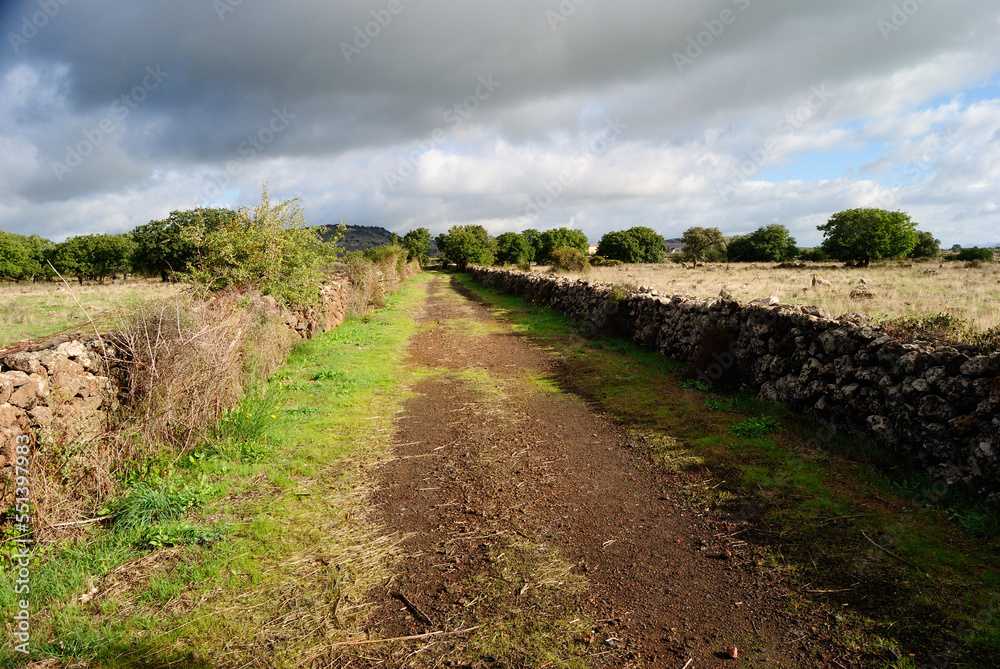 Obraz premium Sentiero per il Nuraghe Oes