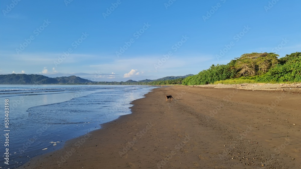Empty tropical paradise beach in Tambor, Costa Rica Empty tropical paradise beach in Tambor, Costa Rica